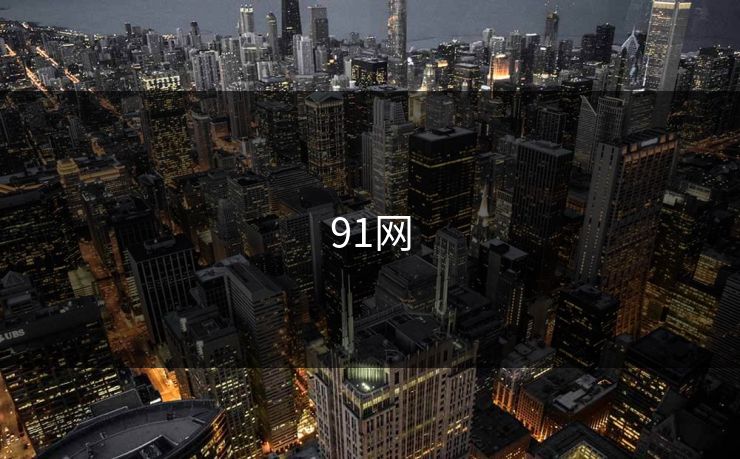 91网